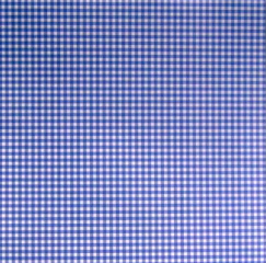 Scrapbooking Paper 12" x 12" - Country Blue Check