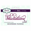 Sue Wilson Mini Expressions Collection Felicitations