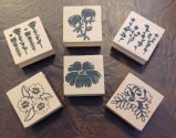 Dovecraft Wooden Stamp Set 1.5" x6 - Florals