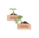 Jolee's By You - Seedling In Tray