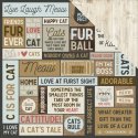 KaiserCraft Pawfect Double-Sided Cardstock Meow