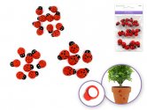 Forever in Time Mini Lady Bugs - 3 sizes 24pc
