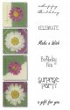Inspirables Simply Botanicals - Square Pink Daisies