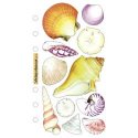 Sticko-Vellum Seashells