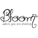 Gourmet Rubber Stamps Cling Stamps 2.75"X4.75" Bloom Where You A