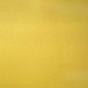 Textured Cardstock 12" x 12" - Mustard Yellow