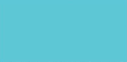 Ranger Archival Pad Reinker .5oz - Aquamarine