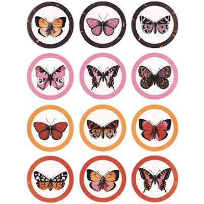 Kaisercraft Collection Embellishment Pack - Tigerlilly