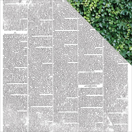 KaiserCraft Wandering Ivy Paper - Archives
