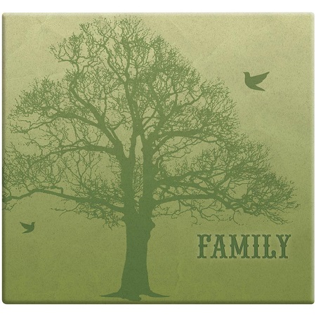 MBI Postbound Album 12\"X12\"-Family Tree