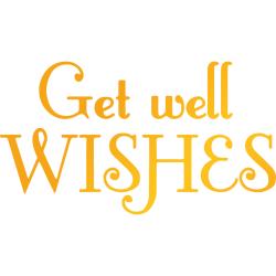 UC Classic Sentiments Hotfoil Stamp - Get Well Wishes