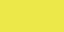 Colorbox Mini Pigment Inkpad - Lemon Grass