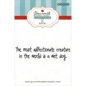 Gourmet Rubber Stamps Cling Stamps 2.75"X4.75" Wet Dog