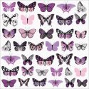 KaiserCraft Sticker Sheet Violet Crush Butterflies