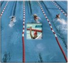 Sports and Hobbies Album - Swimming